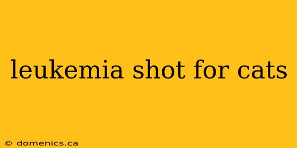 leukemia shot for cats