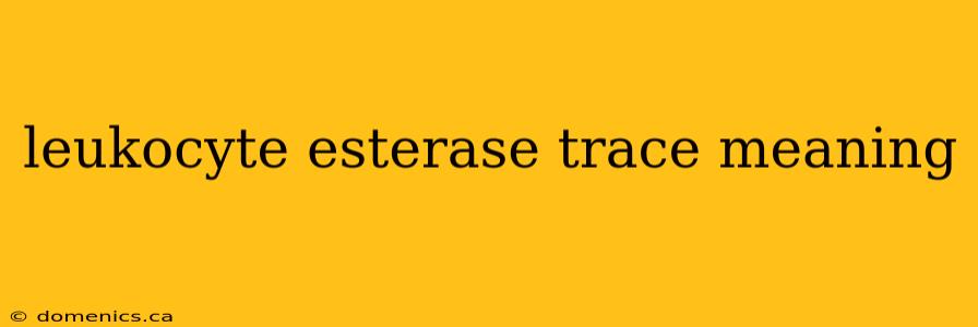 leukocyte esterase trace meaning