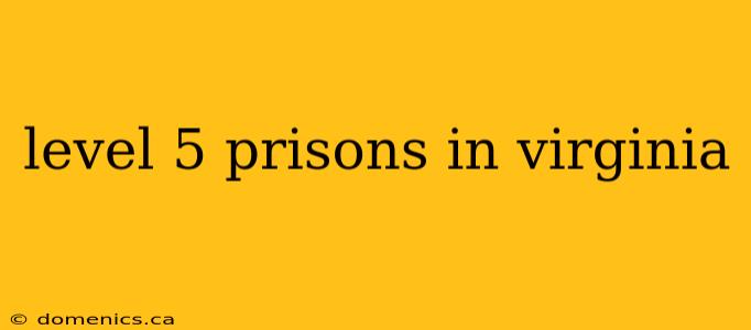 level 5 prisons in virginia