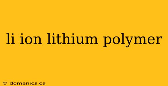 li ion lithium polymer