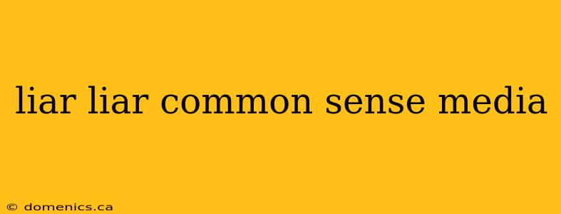 liar liar common sense media