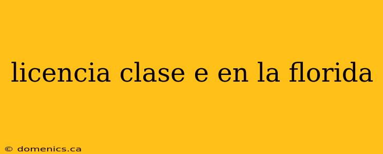 licencia clase e en la florida