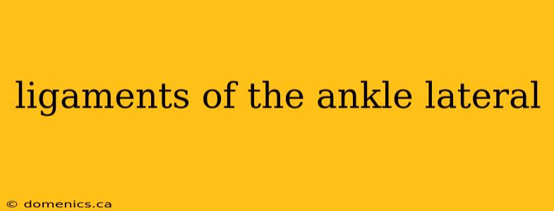 ligaments of the ankle lateral