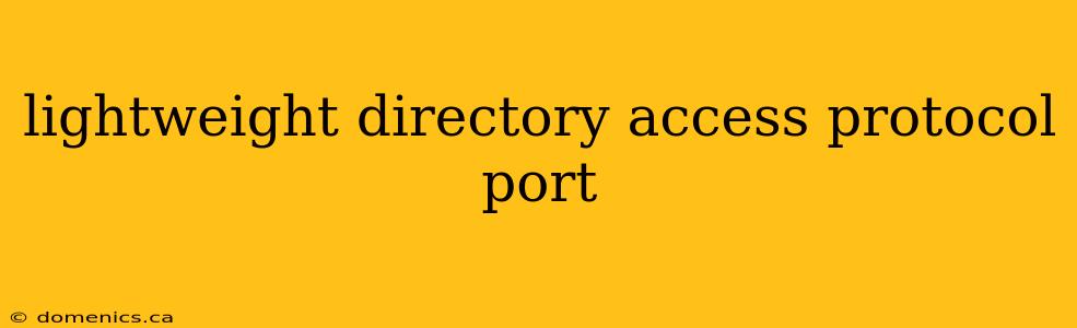 lightweight directory access protocol port