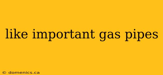 like important gas pipes