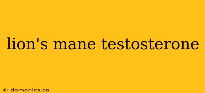 lion's mane testosterone