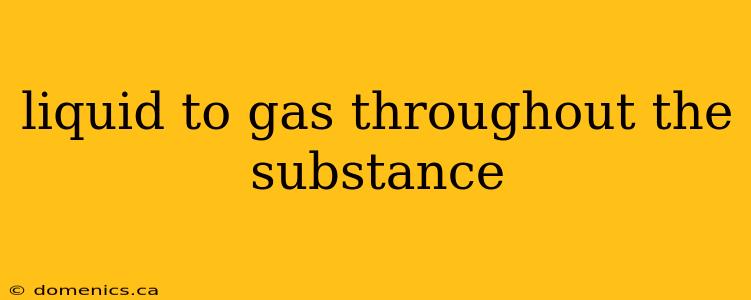 liquid to gas throughout the substance