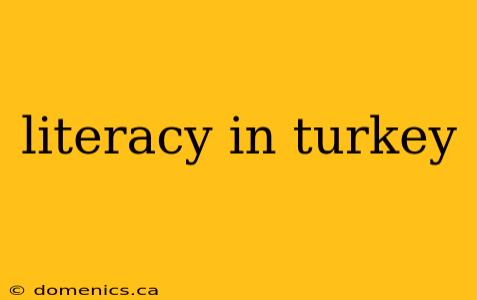 literacy in turkey