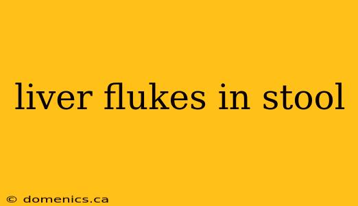 liver flukes in stool