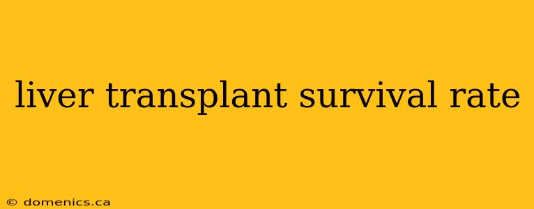 liver transplant survival rate