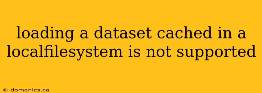 loading a dataset cached in a localfilesystem is not supported