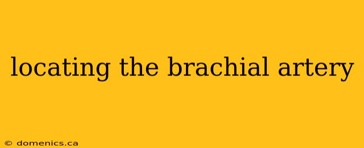 locating the brachial artery