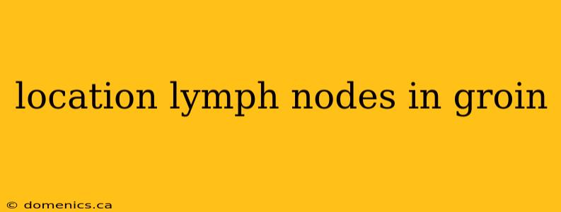 location lymph nodes in groin