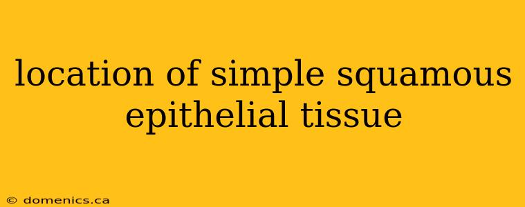 location of simple squamous epithelial tissue