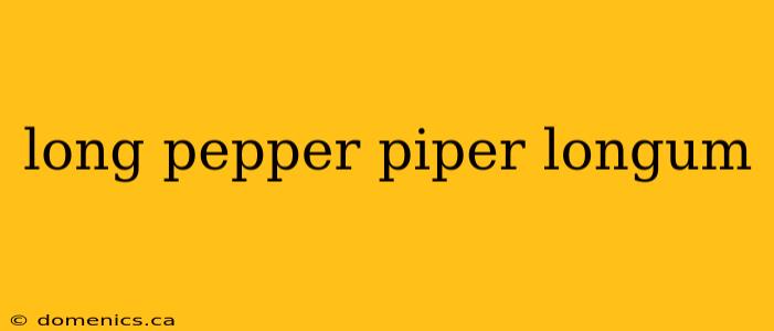 long pepper piper longum