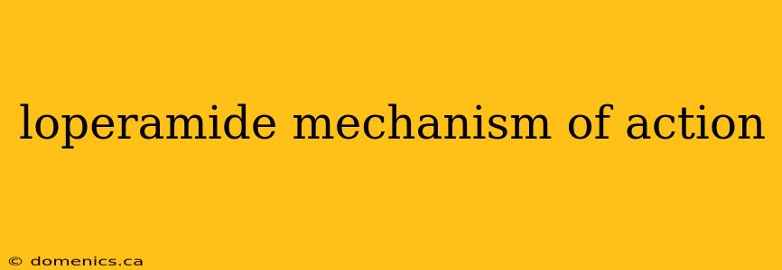 loperamide mechanism of action