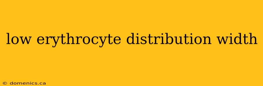 low erythrocyte distribution width