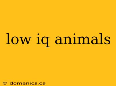 low iq animals