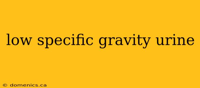 low specific gravity urine