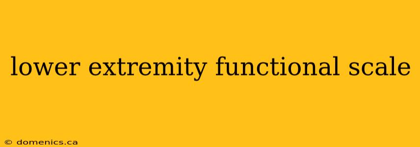 lower extremity functional scale