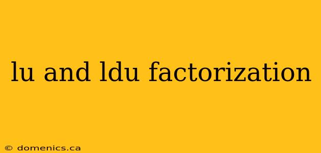 lu and ldu factorization