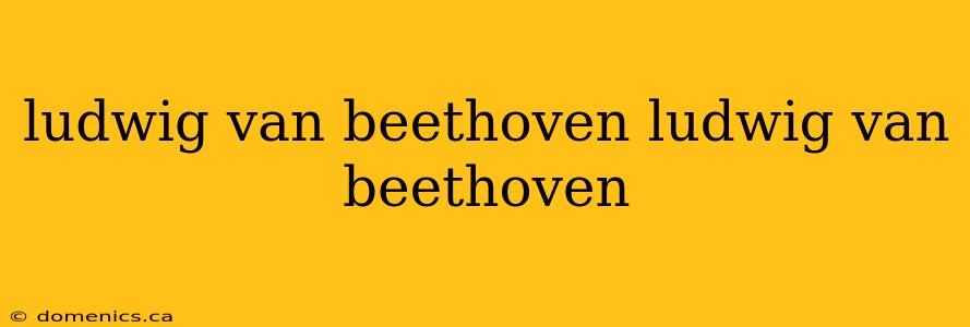 ludwig van beethoven ludwig van beethoven