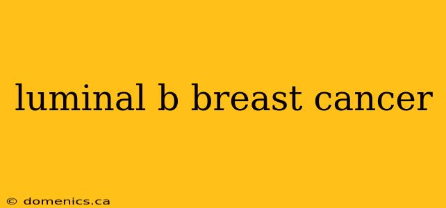 luminal b breast cancer