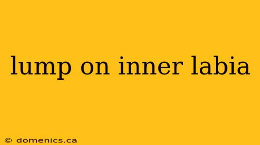 lump on inner labia