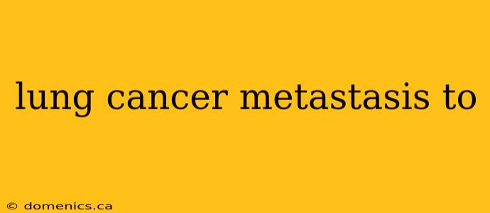 lung cancer metastasis to