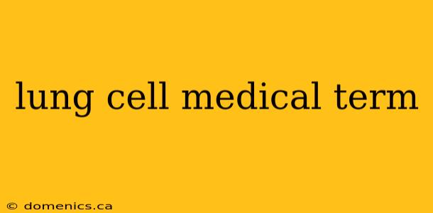 lung cell medical term