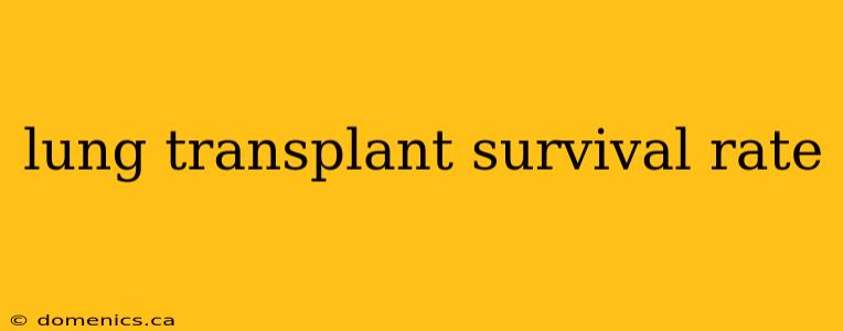 lung transplant survival rate