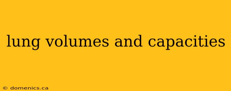 lung volumes and capacities