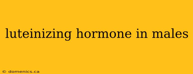 luteinizing hormone in males