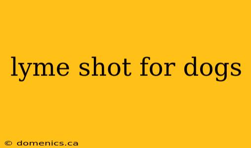 lyme shot for dogs