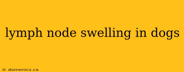 lymph node swelling in dogs