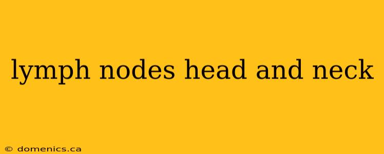 lymph nodes head and neck