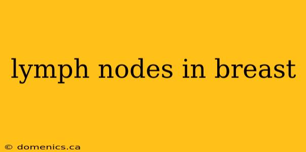 lymph nodes in breast