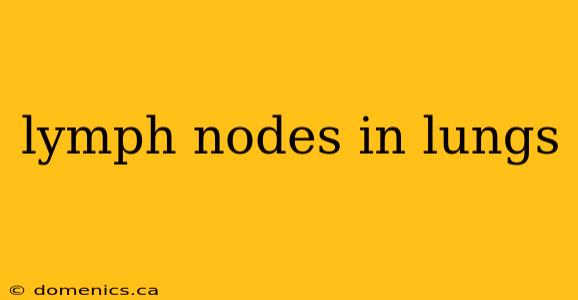 lymph nodes in lungs