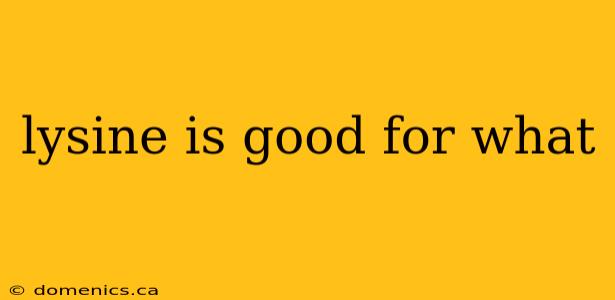 lysine is good for what