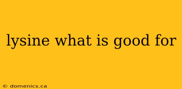 lysine what is good for