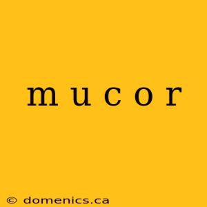 m u c o r