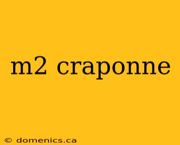 m2 craponne