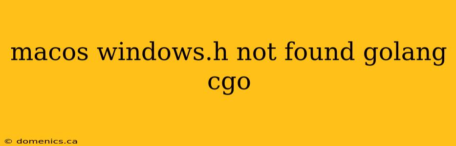 macos windows.h not found golang cgo