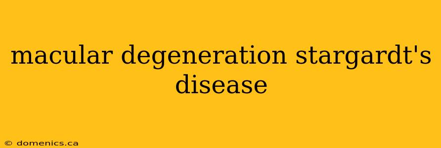 macular degeneration stargardt's disease