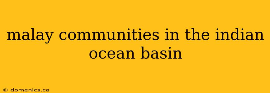 malay communities in the indian ocean basin