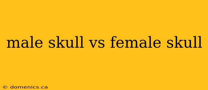 male skull vs female skull