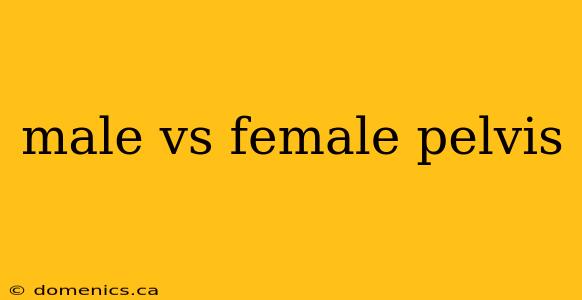 male vs female pelvis