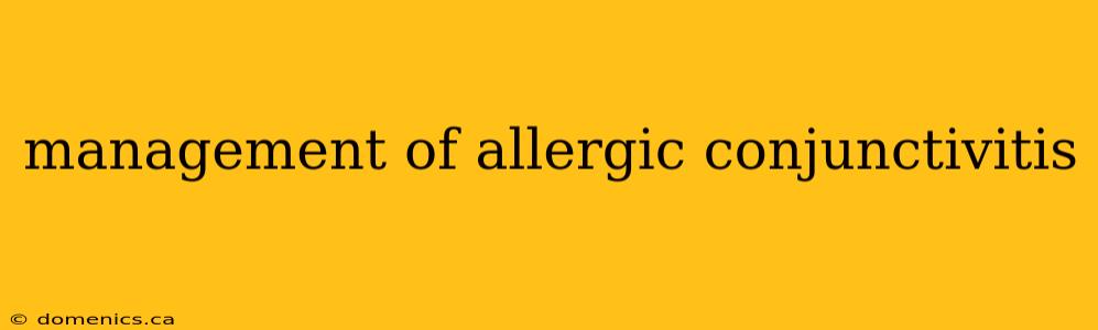 management of allergic conjunctivitis