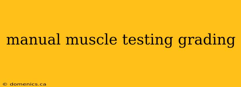 manual muscle testing grading