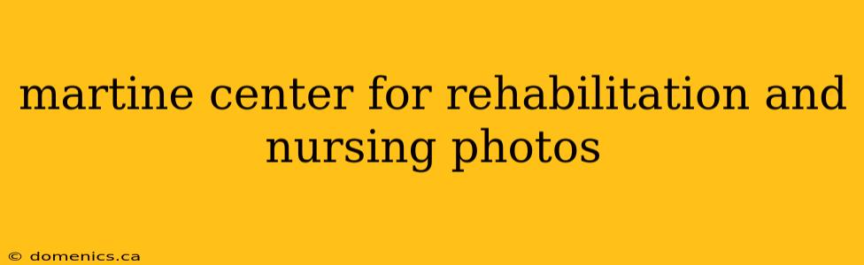 martine center for rehabilitation and nursing photos